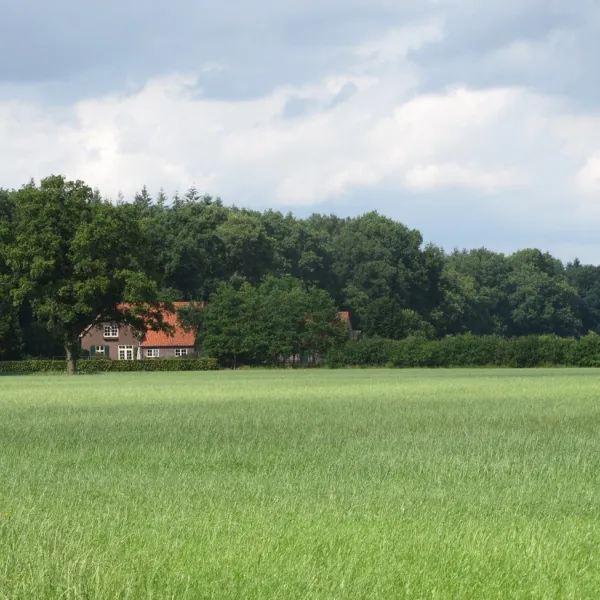 minicamping-t-gagel-lochem-n8rde