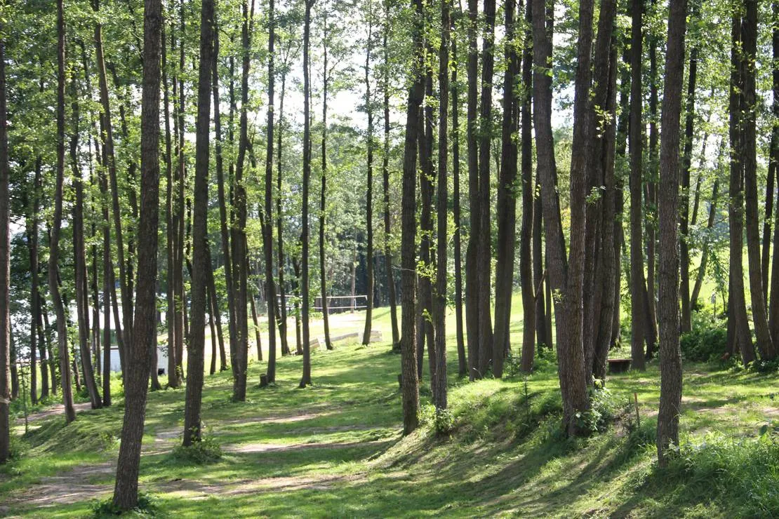 camping-siedlisko-gizewo-sorkwity-s2ycx
