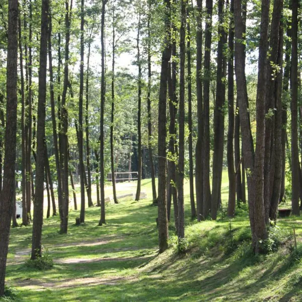 camping-siedlisko-gizewo-sorkwity-s2ycx