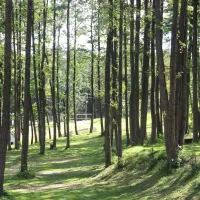 camping-siedlisko-gizewo-sorkwity-s2ycx