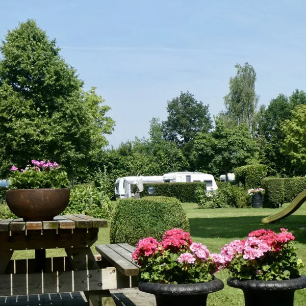 mini-camping-t-linderhof-raalte-ltwyv