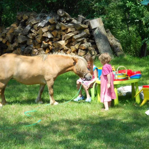 biohof-la-communion-camping-a-la-ferme-latour-84obj