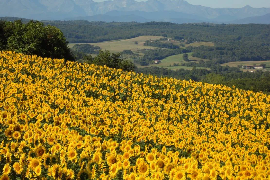 biohof-la-communion-camping-a-la-ferme-latour-zmpe4
