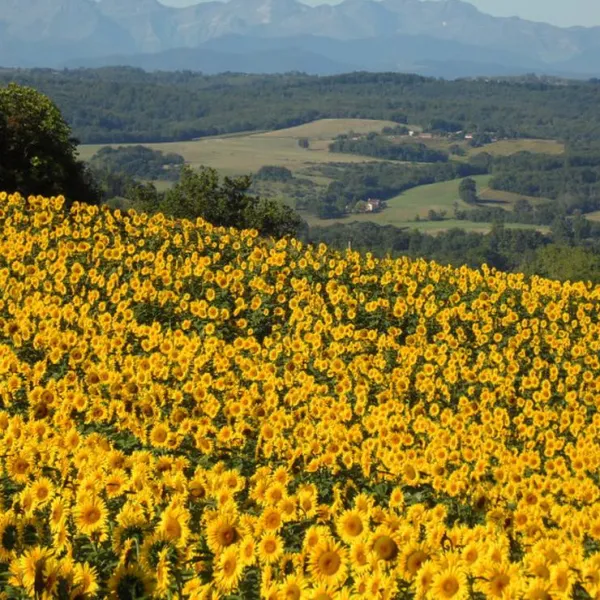 biohof-la-communion-camping-a-la-ferme-latour-zmpe4