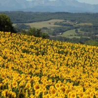 biohof-la-communion-camping-a-la-ferme-latour-zmpe4