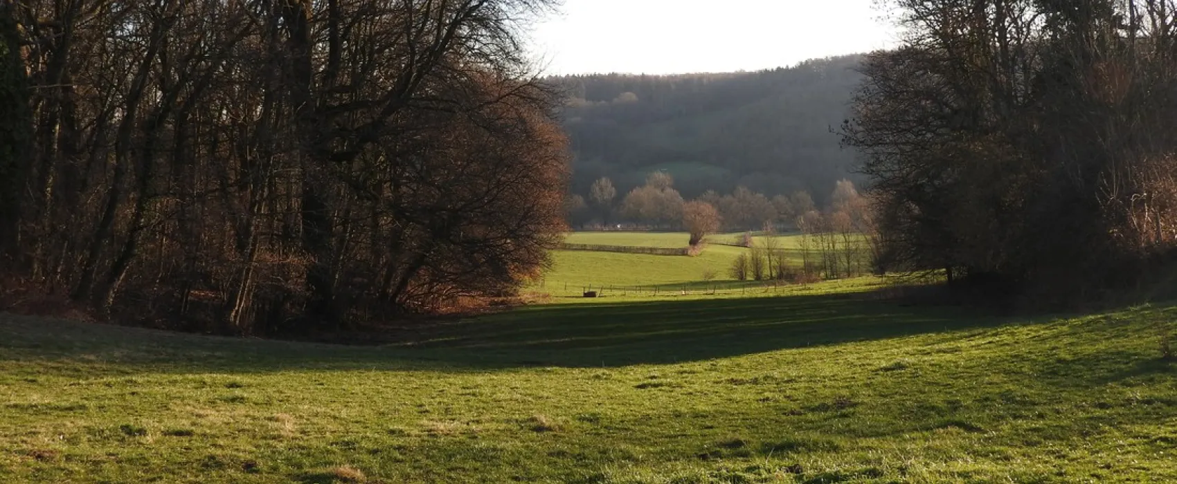 Welkom