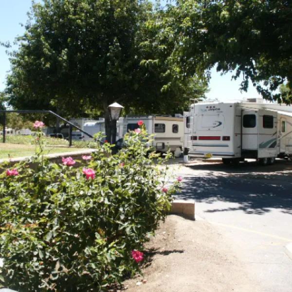 castaic-lake-rv-park-castaic-wvzjg