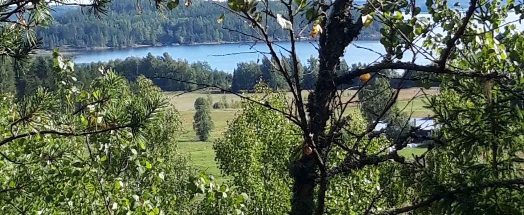 Jaalan Tienristi