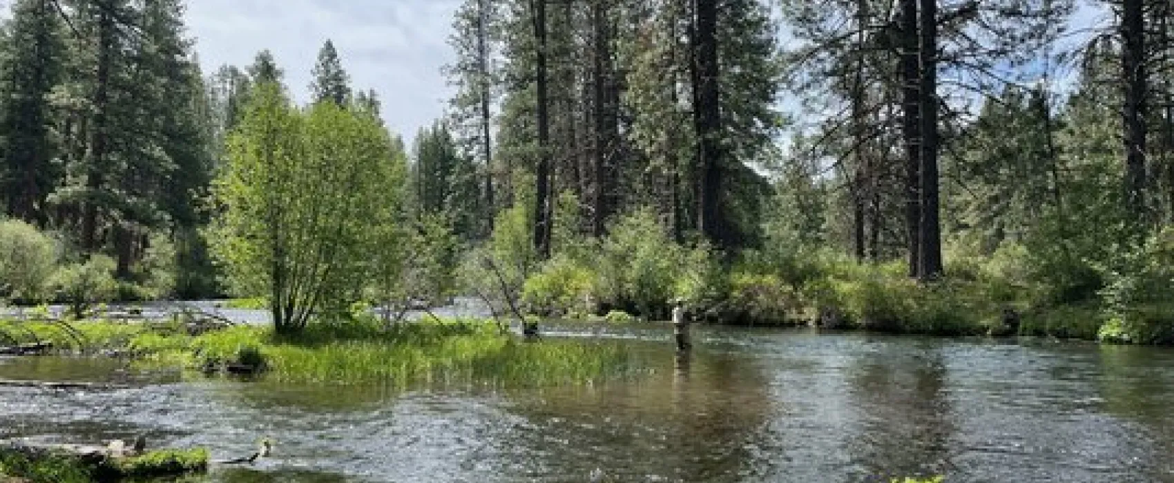 Gorge Campground