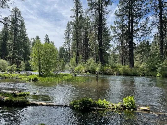 gorge-campground-camp-sherman-wyffc