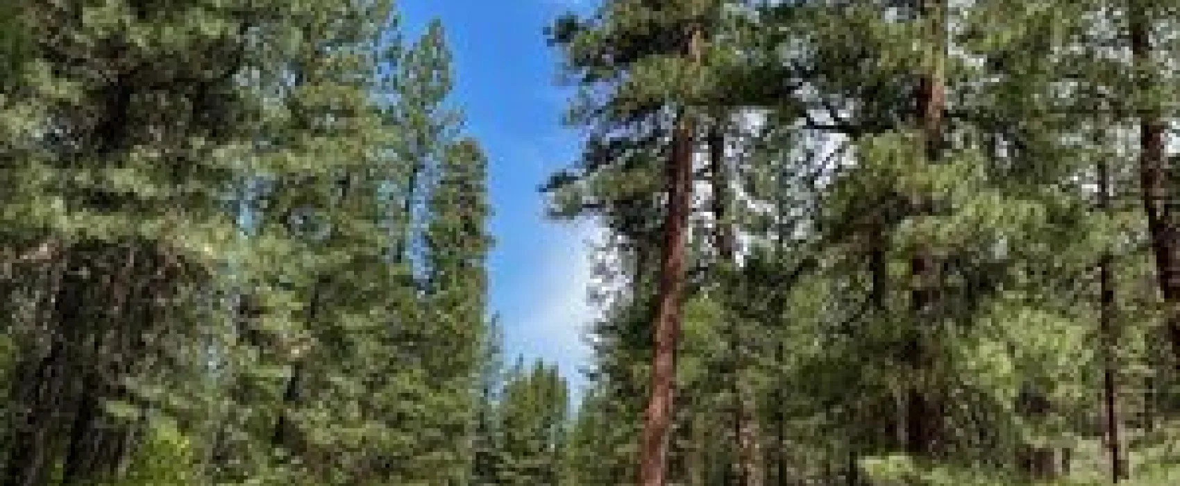 Gorge Campground