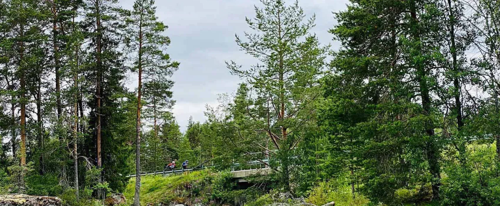 Mid Sweden 365