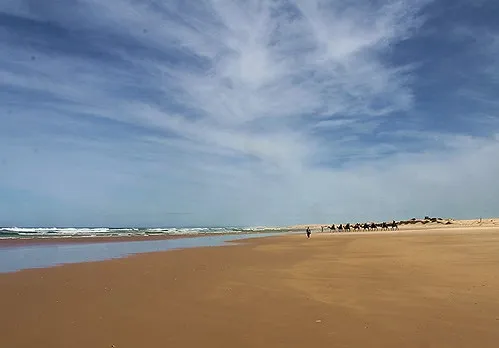stockton-beach-lavis-lane-entry-campground-aiokq