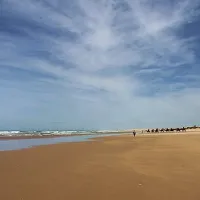 stockton-beach-lavis-lane-entry-campground-aiokq