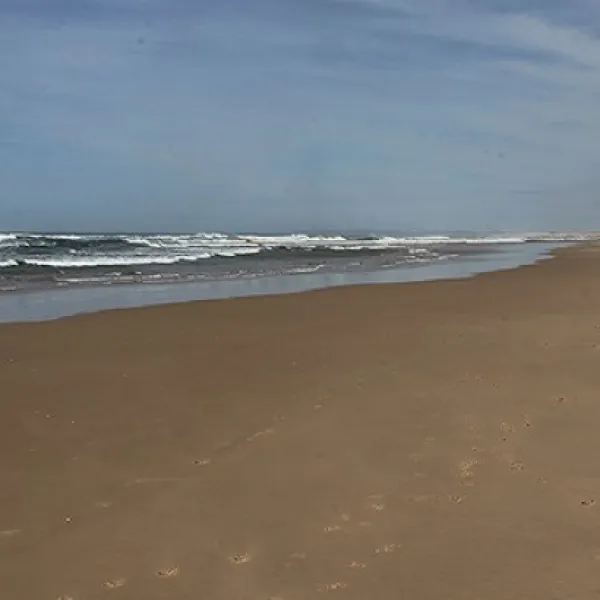 stockton-beach-lavis-lane-entry-campground-gnncb