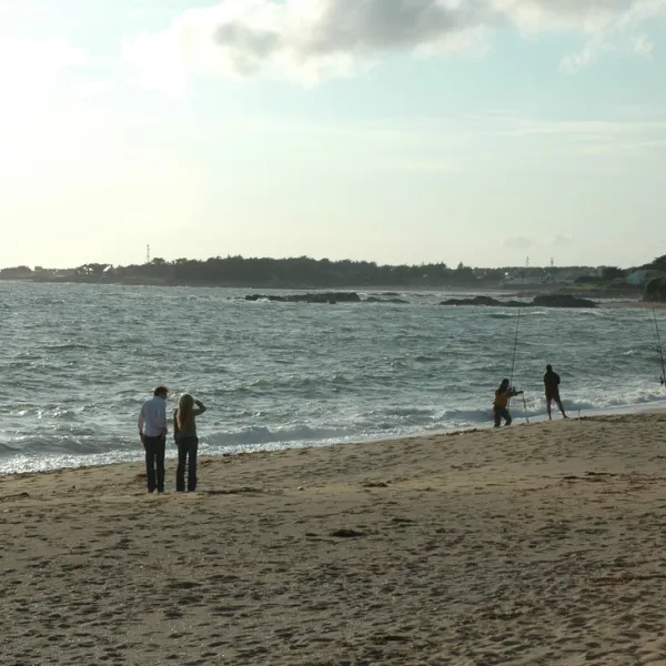 le-refuge-la-turballe-loire-atlantique-vnwvd