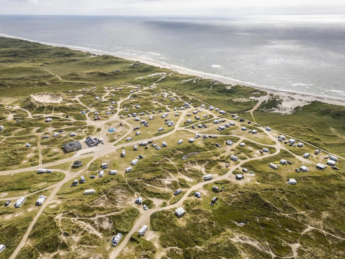 Lyngvig