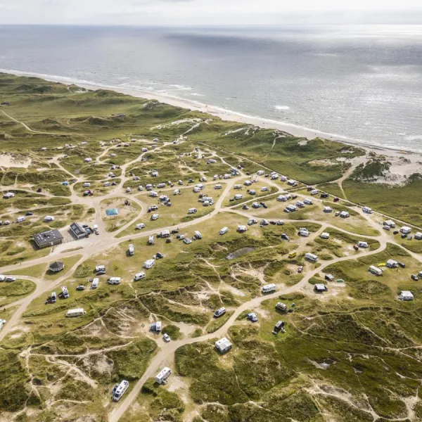Lyngvig