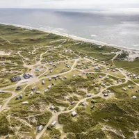 Lyngvig