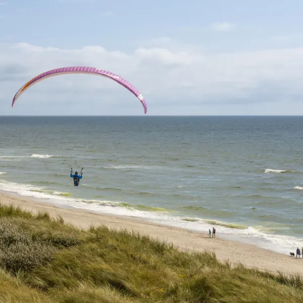 Lyngvig VI