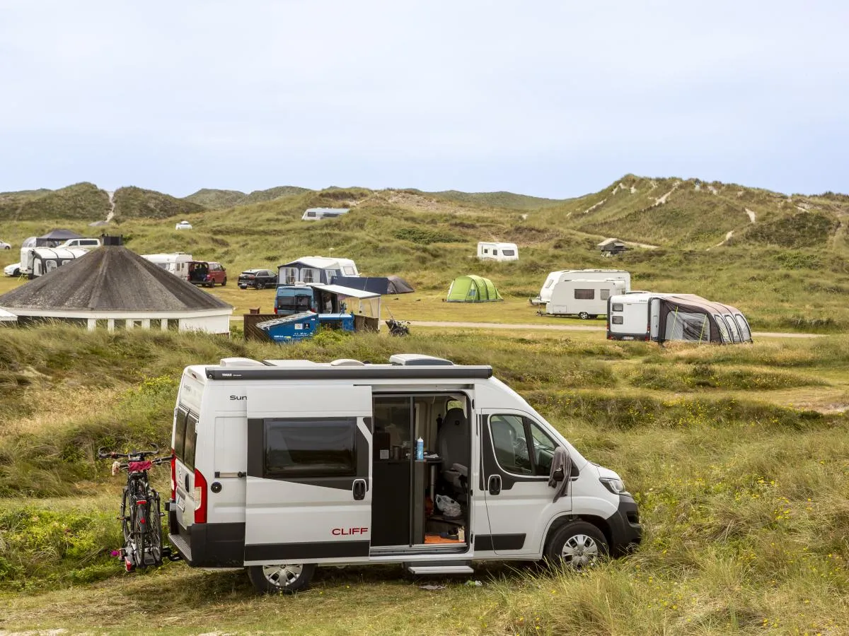 Lyngvig XIII