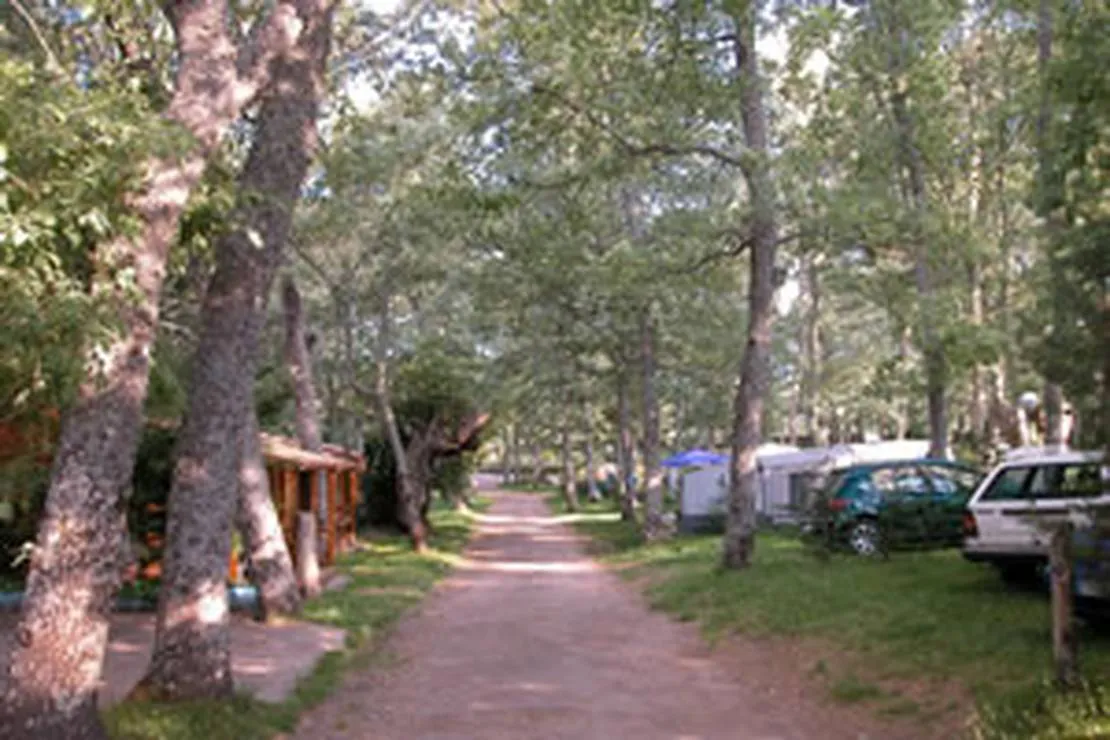 camping-sierra-de-francia-salamanca-d5uk6