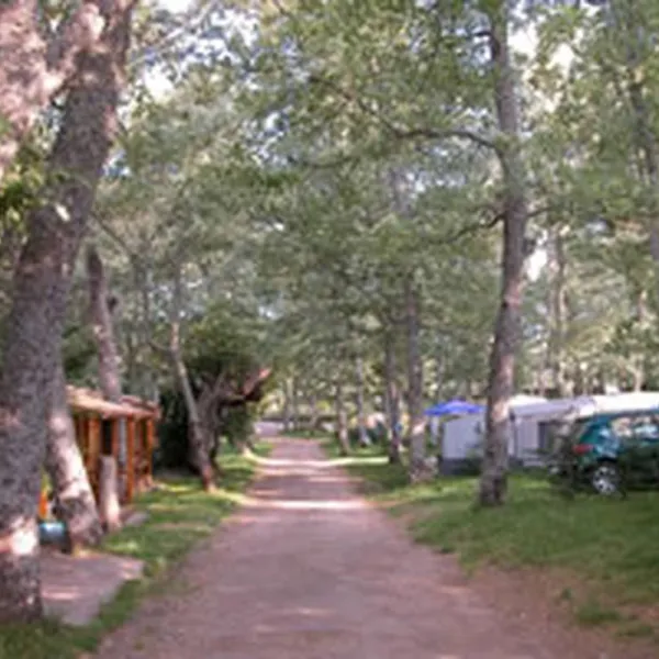 camping-sierra-de-francia-salamanca-d5uk6