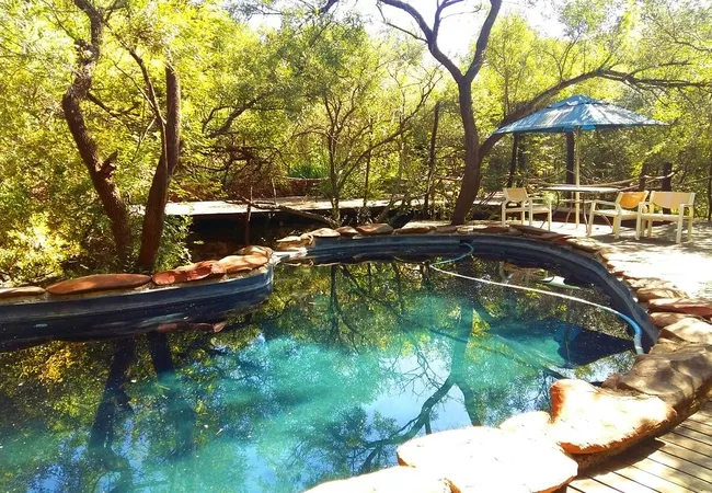 warthogs-bush-lodge-magaliesburg-orekn