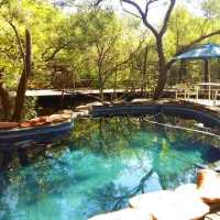 warthogs-bush-lodge-magaliesburg-orekn