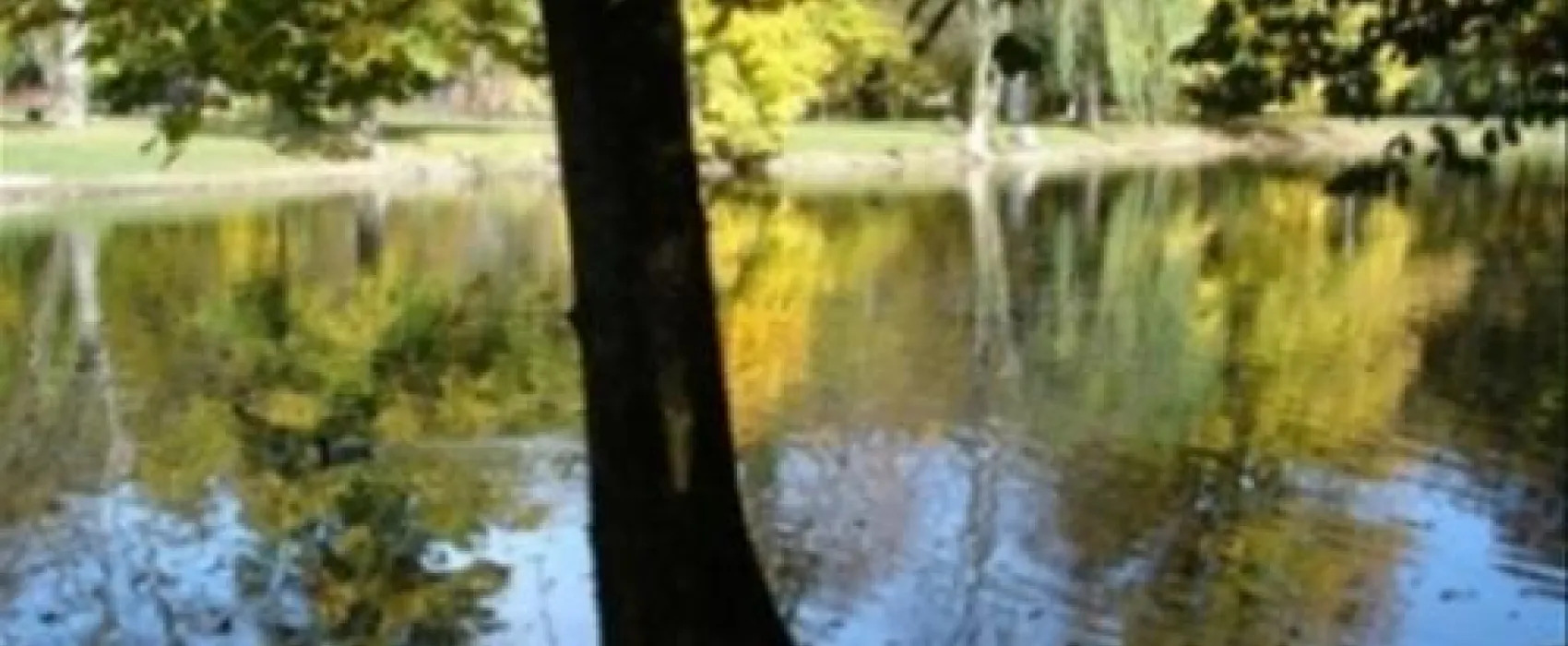Parc de la Fecht