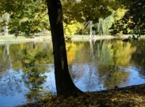parc-de-la-fecht-munster-haut-rhin-vqp11
