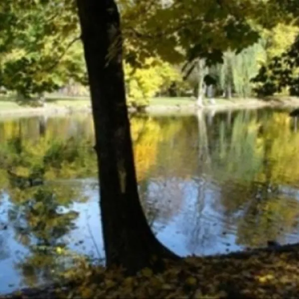parc-de-la-fecht-munster-haut-rhin-vqp11
