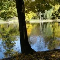 Parc de la Fecht
