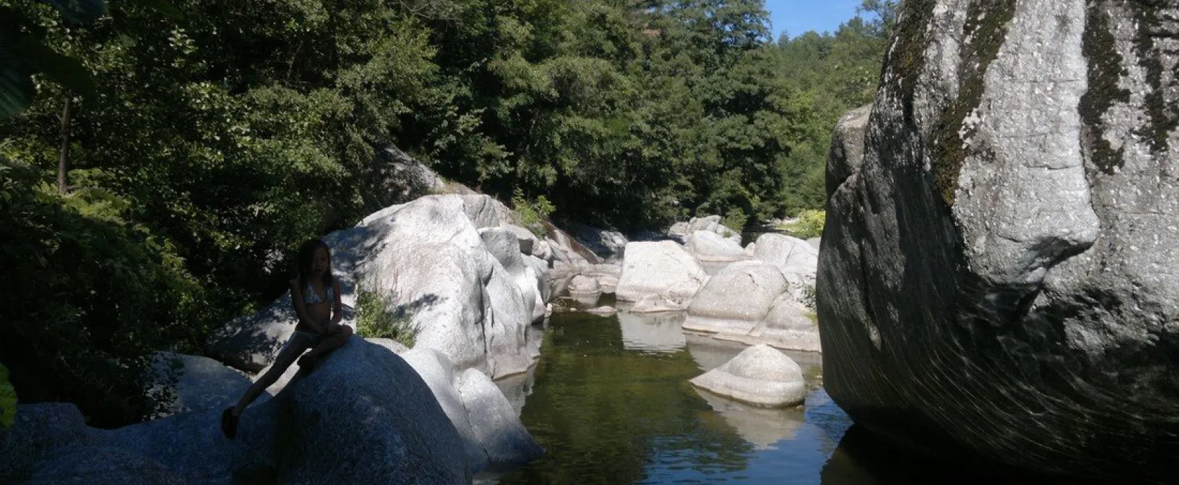 La Salendrinque