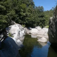 La Salendrinque