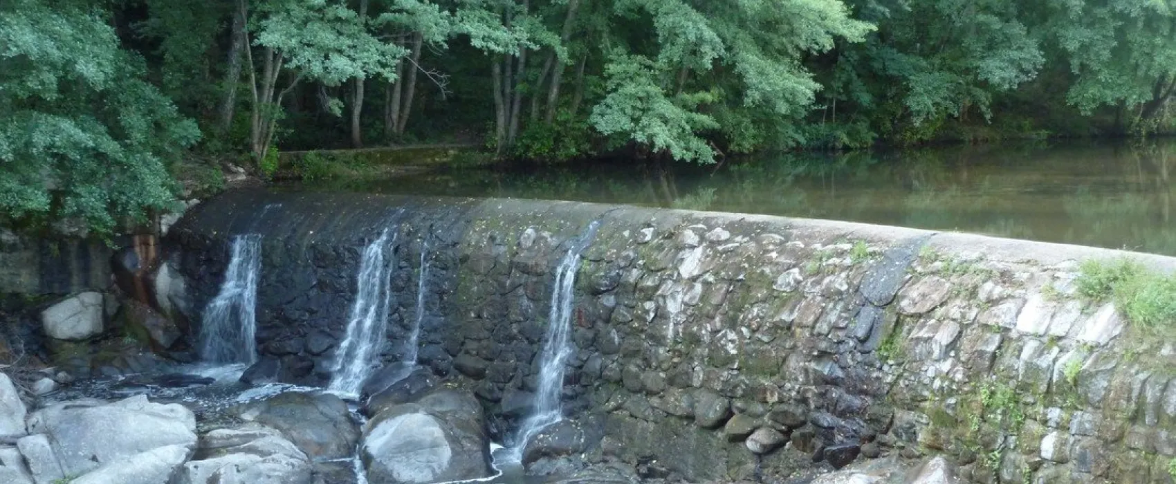 La Salendrinque