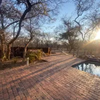 luxury-tents-at-kigeni-on-route-to-ellisras-rhenosterfontein-qbger