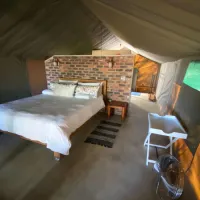 luxury-tents-at-kigeni-on-route-to-ellisras-rhenosterfontein-zpp42