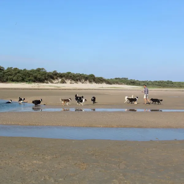 t-schorre-nieuwvliet-nieuwvliet-bad-ejrds