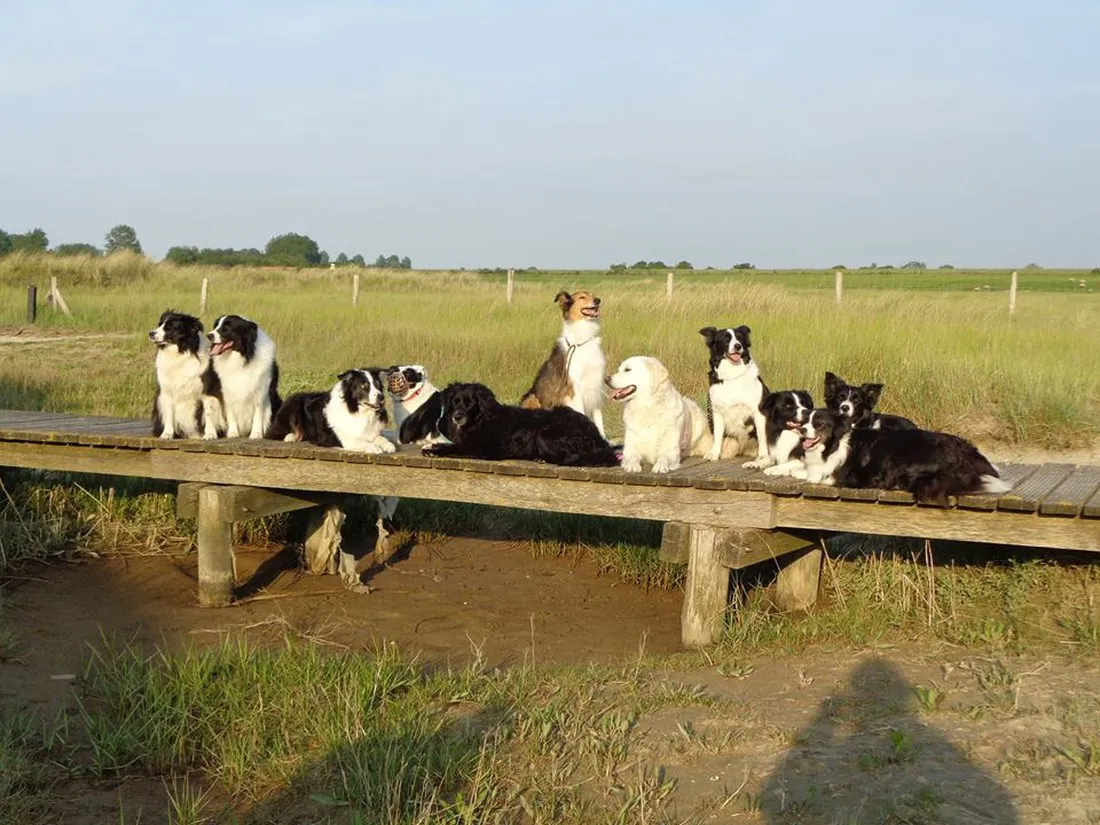 t-schorre-nieuwvliet-nieuwvliet-bad-odoi9