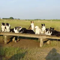 t-schorre-nieuwvliet-nieuwvliet-bad-odoi9