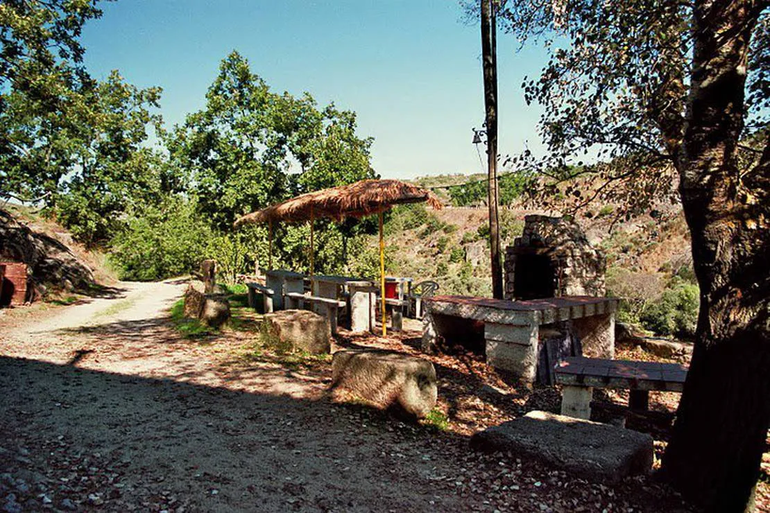 camping-cafe-rio-coa-mido-3r6oi