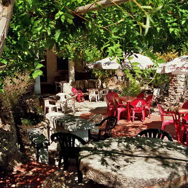 camping-cafe-rio-coa-mido-91yv4
