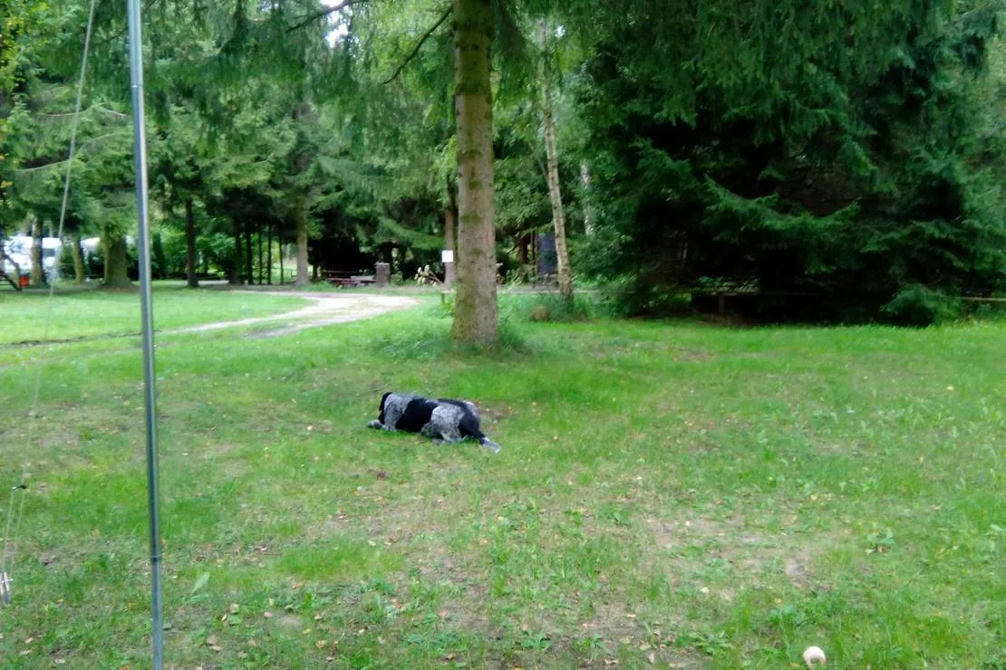 campinplatz-bergmuhle-holle-nqo7o