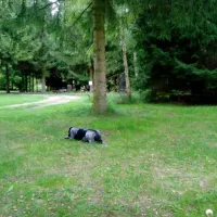 campinplatz-bergmuhle-holle-nqo7o