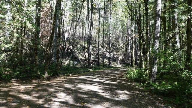 carter-bridge-campground-estacada-x49qx