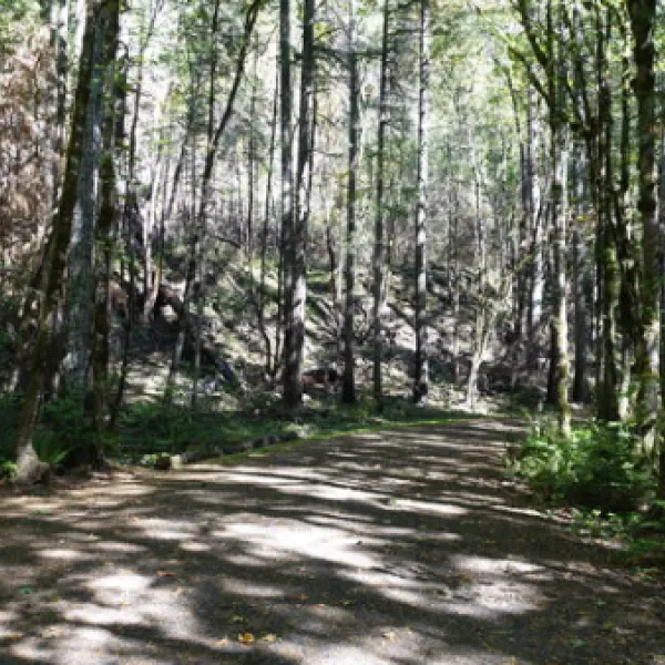 carter-bridge-campground-estacada-x49qx