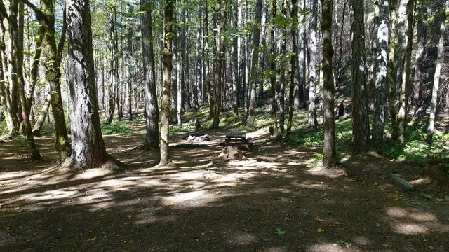 carter-bridge-campground-estacada-xbakz