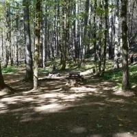 carter-bridge-campground-estacada-xbakz
