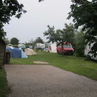 boerderijcamping-wildeboer-zuidwolde-5pvjq